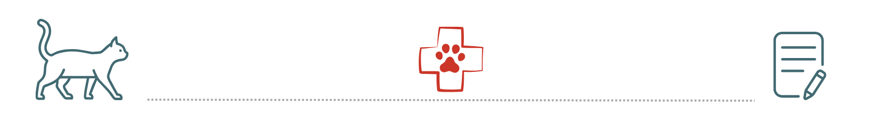 healthy dog supported by pet insurance at Airway Veterinary Hospital Colorado Springs CO